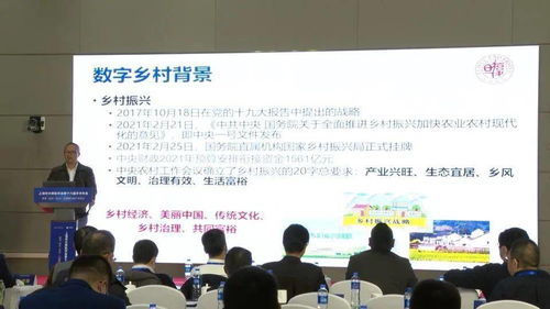 百余名計算機科技工作者齊聚崇明 共話軟件研發(fā)新未來