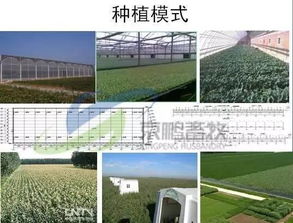 京鵬環宇畜牧薛志友 打造休閑觀光生態牧場，從“養好牛”到“享生活”的質變之路